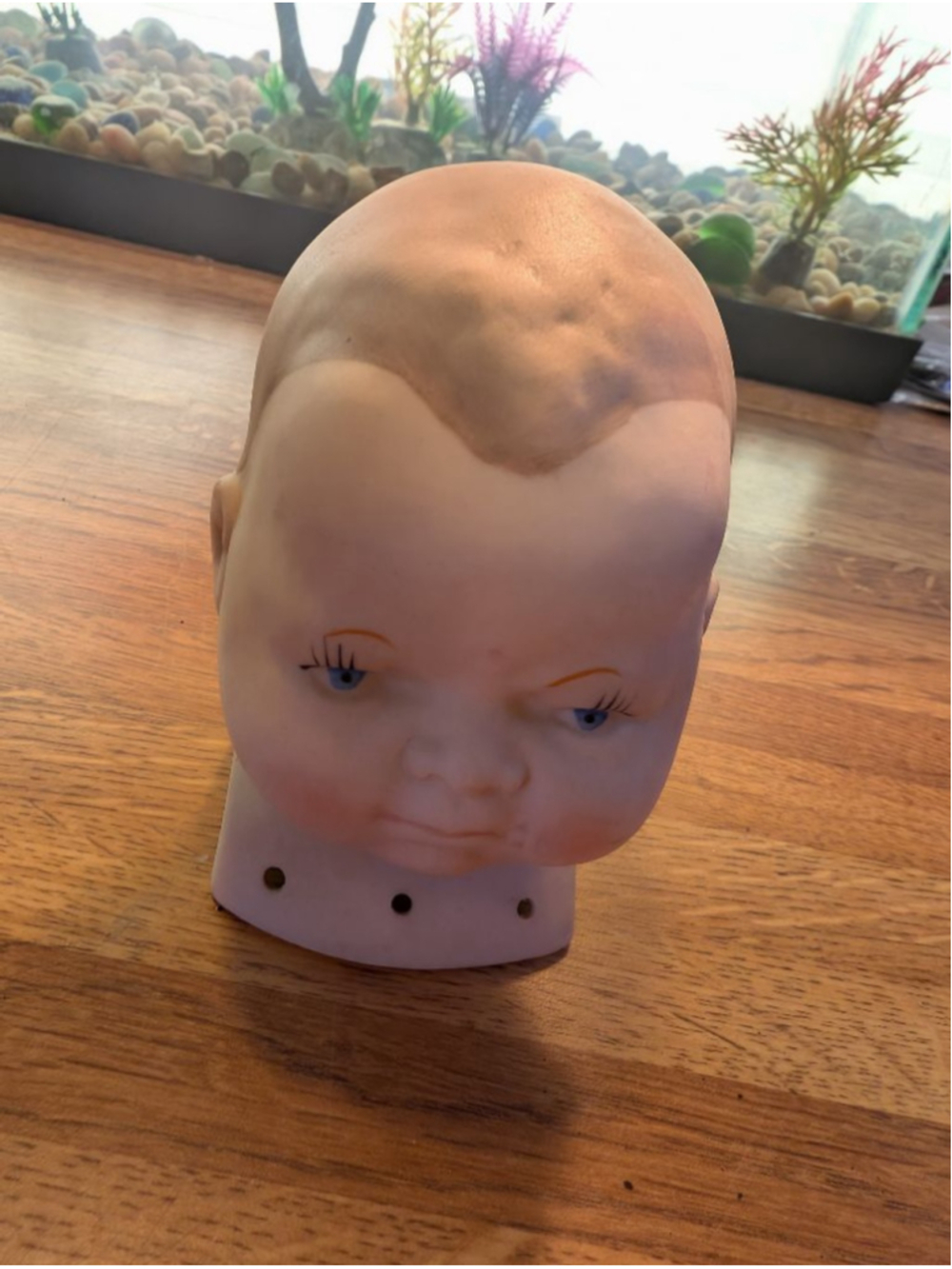 Creepy Baby Doll Head made in Japan